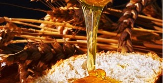 Коврижка «Медовый кирпичик»